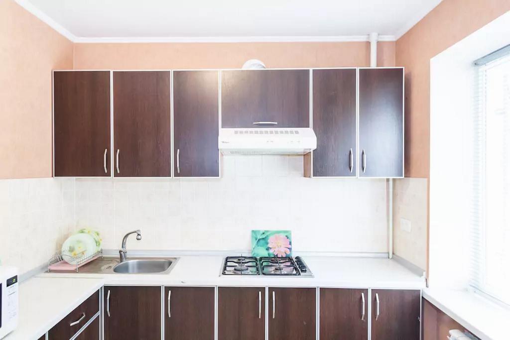 Apartment in Zaporozhye. Antica Zaporizhia Exterior foto